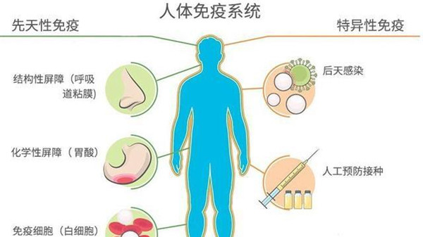 成都养老院一暄康养经验分享——老年人冬季易发支气管炎的原因