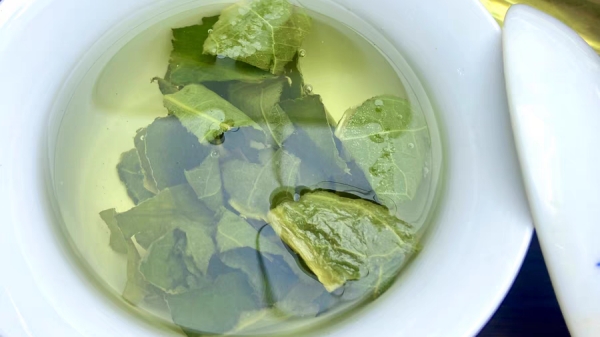 适合中老年降血压的六款养生茶饮，你可别再喝错了（上）-荷叶茶