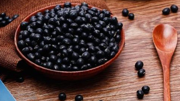 成都养老院经验分享：黑豆一把胜过吃药一堆，一暄康养为您揭晓黑豆的食疗功效（上）4