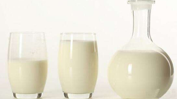 【乳糖不耐受人群福音】成都养老院分享：6种可替换牛奶的食物（上）-羊奶