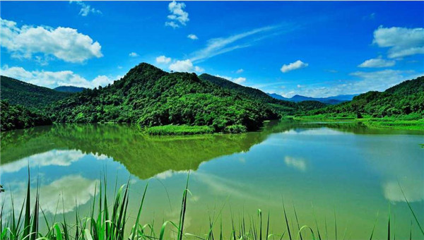 木棉湖