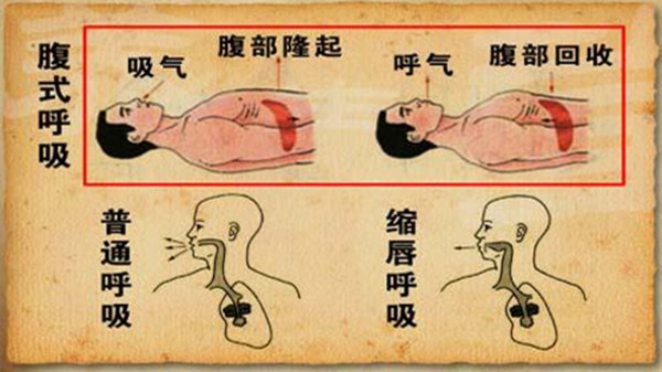 慢阻肺患者在冬季要注意什么？成都金牛区养老院一暄康养为您介绍（二）-腹式呼吸