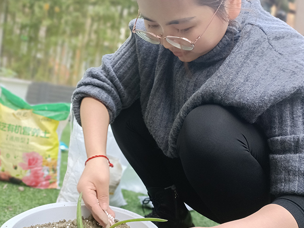 成都天府新区养老院一暄康养海洋公园（南门）院种植芦荟2