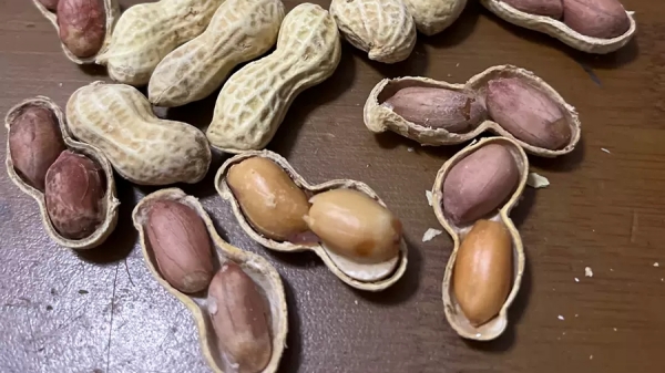 改善记忆力的8种食物，最后一种90%的人都想不到（上）