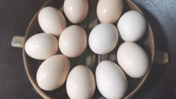成都养老院经验分享：改善记忆力的8种食物，最后一种90%的人都想不到（上）-鸡蛋
