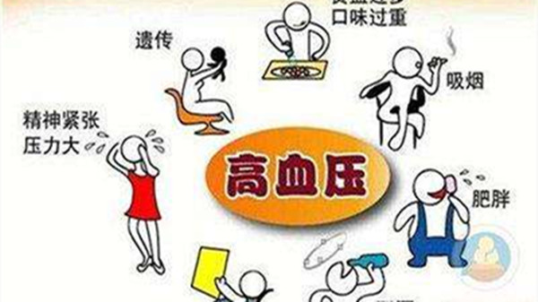 成都养老院一暄康养介绍老年人应该如何对付高血压（二）-高血压