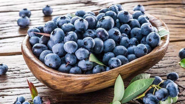 成都金牛区养老院一暄康养分享一种夏季水果——蓝莓（三）