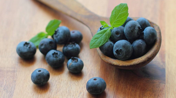 成都金牛区养老院一暄康养分享一种夏季水果——蓝莓（二）