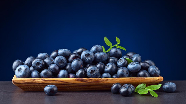成都养老院一暄康养分享一种夏季水果——蓝莓（二）2