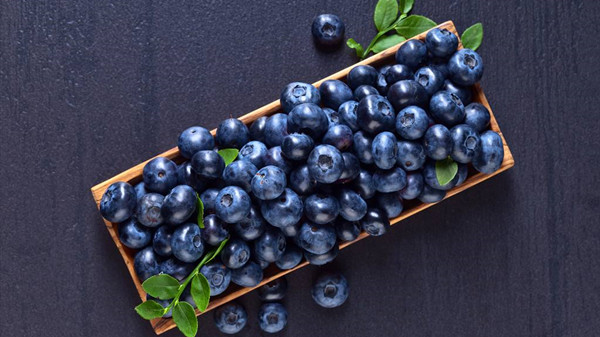 成都金牛区养老院一暄康养分享一种夏季水果——蓝莓（一）
