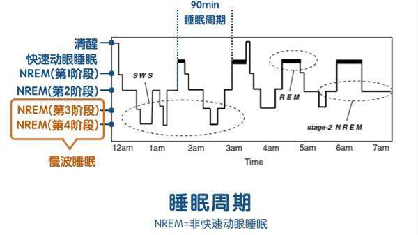 成都养老院一暄养生堂：为什么午觉睡到自然醒反而更困？（一）-睡眠周期