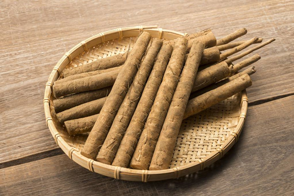 成都青羊区养老院-一暄康养推荐老年人增强免疫力的养生食物（4）-牛蒡4