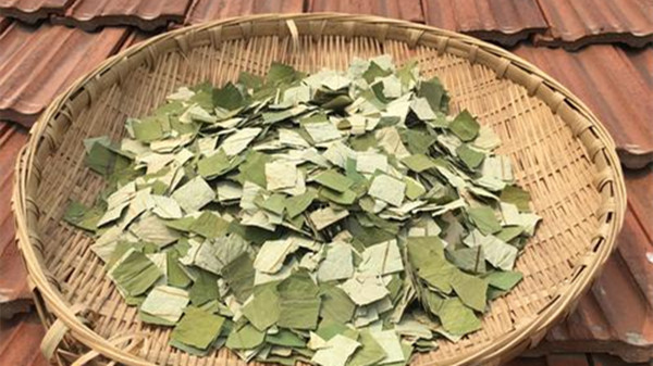 成都青羊区养老院一暄康养为您介绍夏季适合的冬瓜荷叶茶1