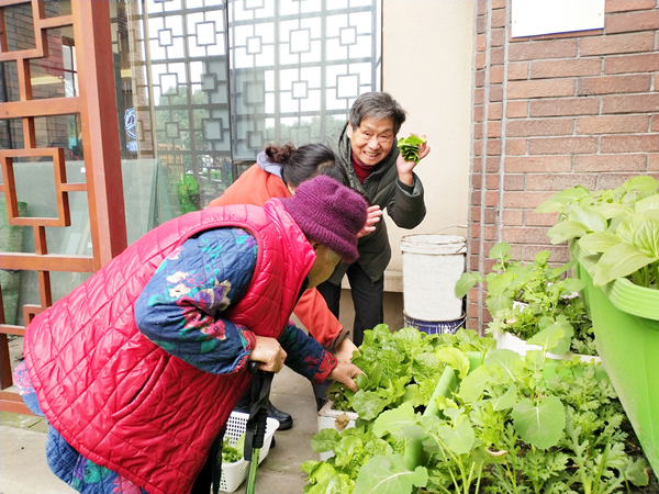 成都养老院一暄康养爷爷奶奶感受丰收的喜悦3