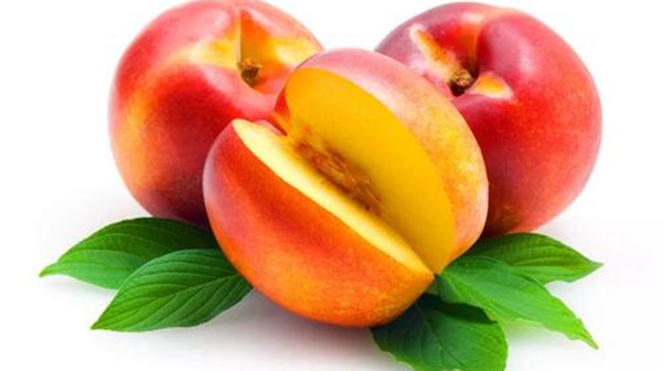 成都养老院为大家推荐适合夏季吃的水果——油桃