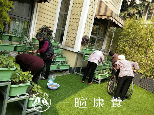 开心农场