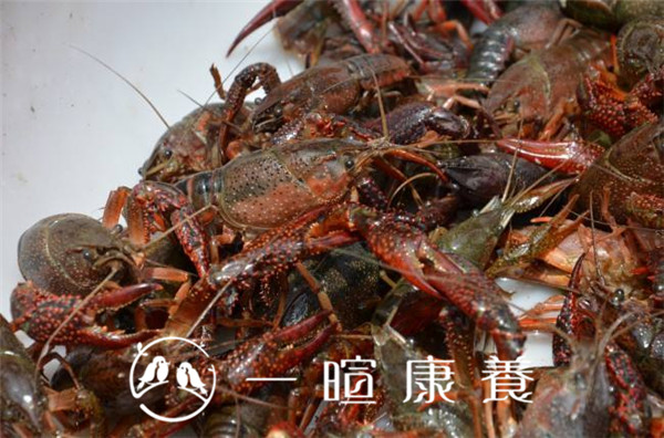 清洗小龙虾