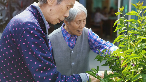 成都养老院哪家好一暄康养：拓展第四社交圈积极应对人口老龄化