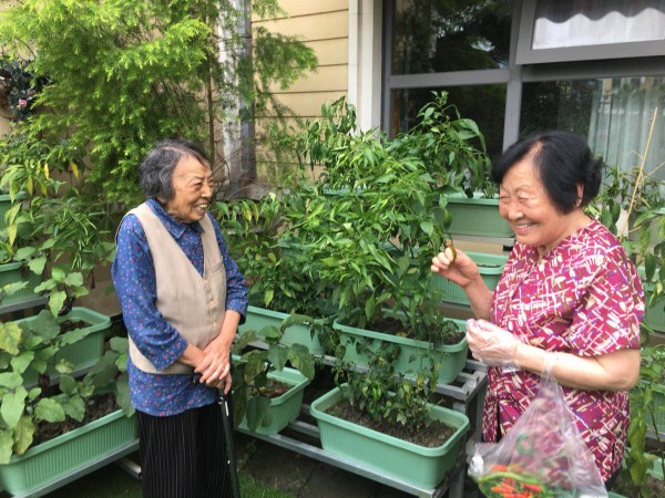 成都养老院|雨过天晴，一暄康养开心农场大丰收|奶奶们开怀大笑