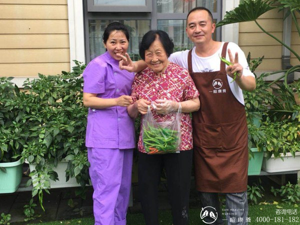 成都养老院|雨过天晴，一暄康养开心农场大丰收|照护师和理疗师与奶奶一起采摘