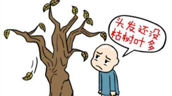 成都高端养老院-一暄康养提醒身体有怪相小心疾病来袭-脱发