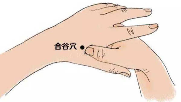 成都养老院一暄康养半月谈（一）