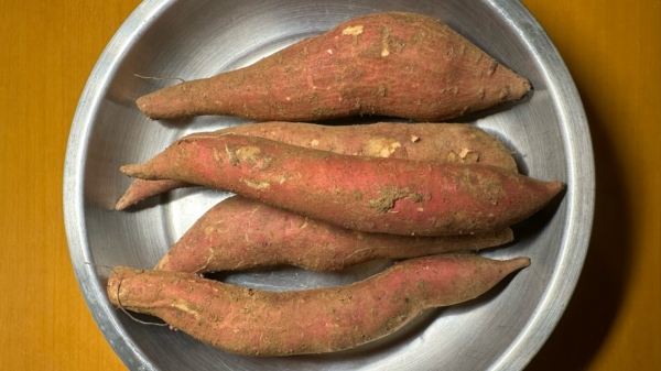 成都养老院经验分享：冬季防皮肤干痒养生食谱——红薯炒乳瓜