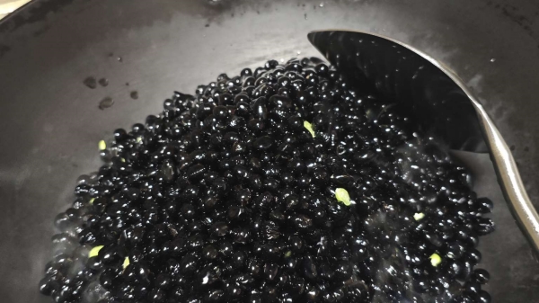 成都养老院经验分享：黑豆一把胜过吃药一堆，一暄康养为您揭晓黑豆的食疗功效（上）3