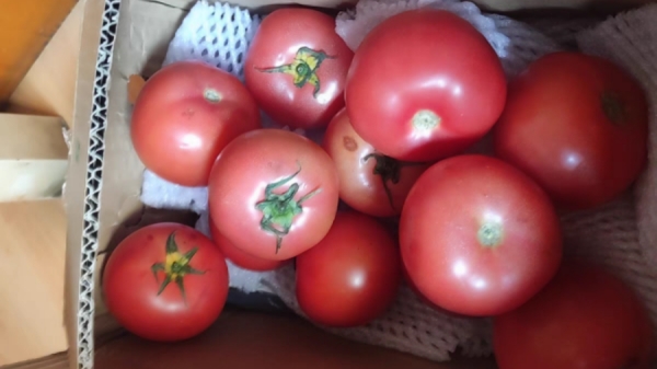 成都养老院经验分享：可以预防癌症的食物和蔬菜——西红柿
