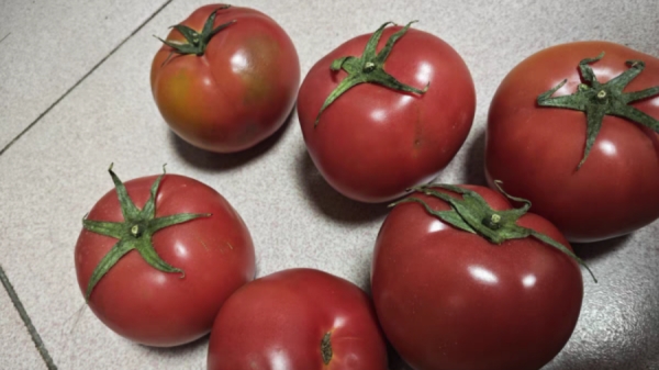成都养老院经验分享：可以预防癌症的食物和蔬菜——西红柿汁