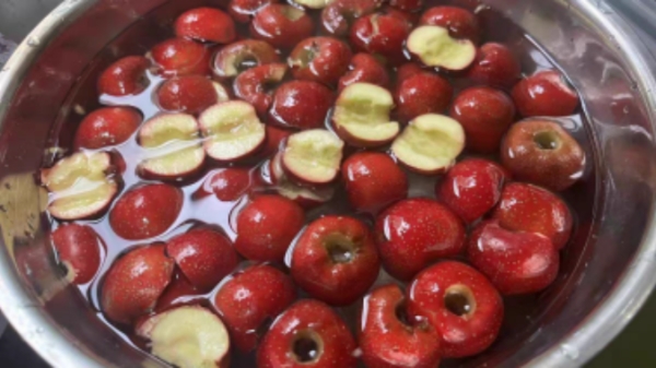 成都养老院经验分享：可以预防癌症的食物和蔬菜——山楂