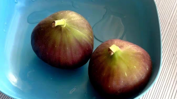成都养老院经验分享：可以预防癌症的食物和蔬菜——无花果