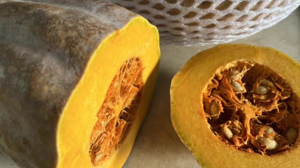 【养生】可以预防癌症的食物和蔬菜——南瓜