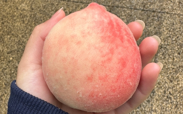 成都高端养老院经验分享：龙泉水蜜桃