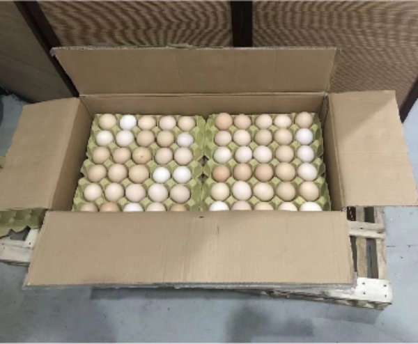 长者膳食问题，严格把关