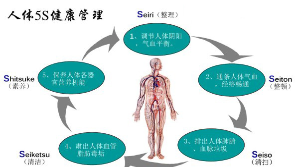 成都养老院|一暄康养为您介绍人體健康5S管理理念