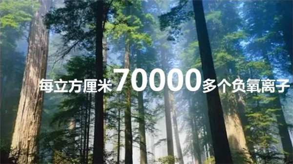 70000多个负氧离子