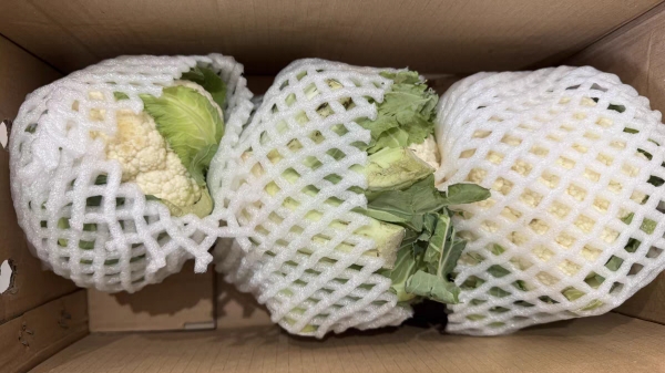 成都养老院冬时令蔬菜推荐——花菜