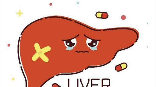 成都养老院一暄康养提醒日常一些伤肝的行为（1）-肝脏2