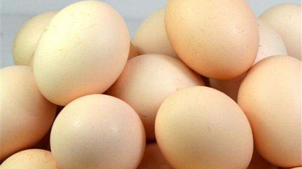 成都养老院一暄康养提醒吃鸡蛋应该小心的事（2）-鸡蛋1