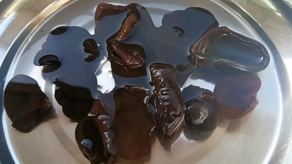 成都养老院一暄康养经验分享：4种自带“暖气”的食物（三）-木耳