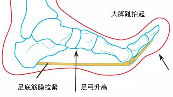 成都金牛区养老院一暄康养提醒在家也能自己做体检（3）