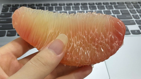 一暄康养推荐老年人糖尿病适合吃的水果（3）