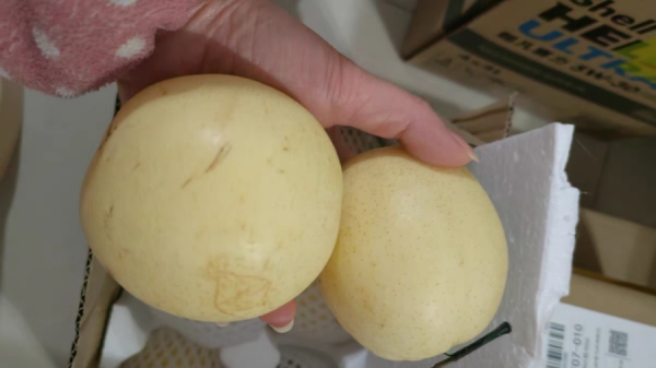 成都养老院为大家推荐美味甜品之陈皮鸭梨汤