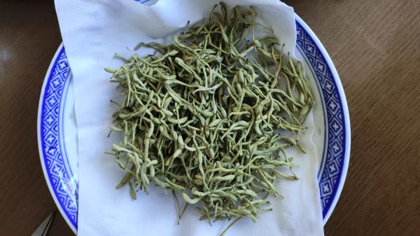 一暄康养带您认识夏季第一花金银花