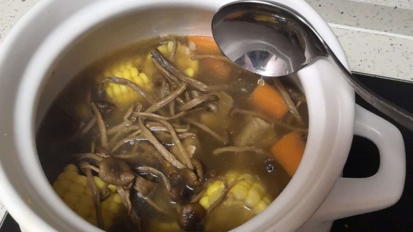 茶树菇炖汤