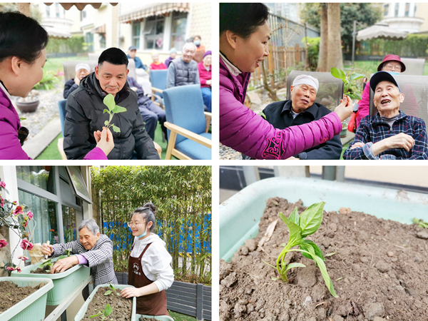 成都养老院一暄康养南门院特别的植树活动