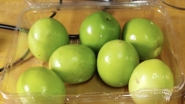 成都养老院一暄康养教您初冬养生-饮食篇（二）