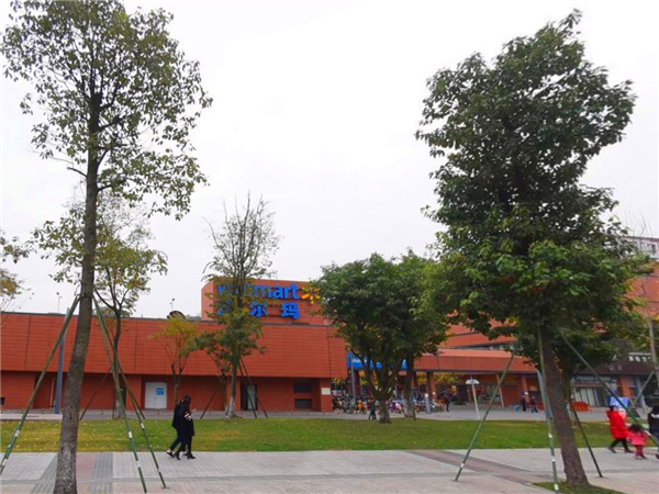 一暄康养网络运营中心的小伙伴们赴两河公园店开展采编活动（二）