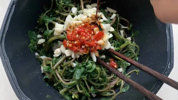 春季吃野菜正当时，一暄教您健康吃野菜